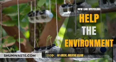 Upcycling for a Greener Future: Transforming Waste into Environmental Solutions