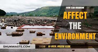 Uranium's Environmental Impact: Risks, Contamination, and Ecosystem Disruption Explained