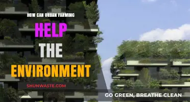 Urban Farming: A Sustainable Solution for Greener Cities and Healthier Ecosystems