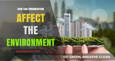 Urbanization's Environmental Impact: Challenges and Sustainable Solutions for Cities