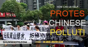 Combating Chinese Pollution: Global Action for a Greener Future