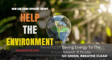 Efficient Energy Use: A Powerful Tool to Protect Our Environment