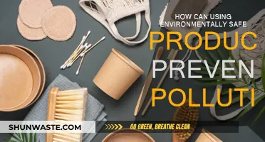 Green Products, Clean Environment: Preventing Pollution