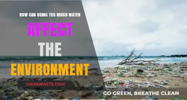 Excessive Water Usage: Environmental Impacts and Sustainable Solutions