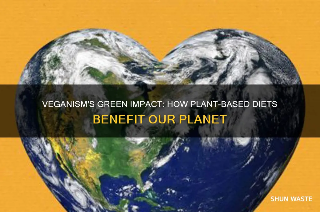how can veganism affect effect the environment positively