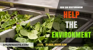 Vegetarianism's Green Impact: Saving the Planet, One Meal at a Time