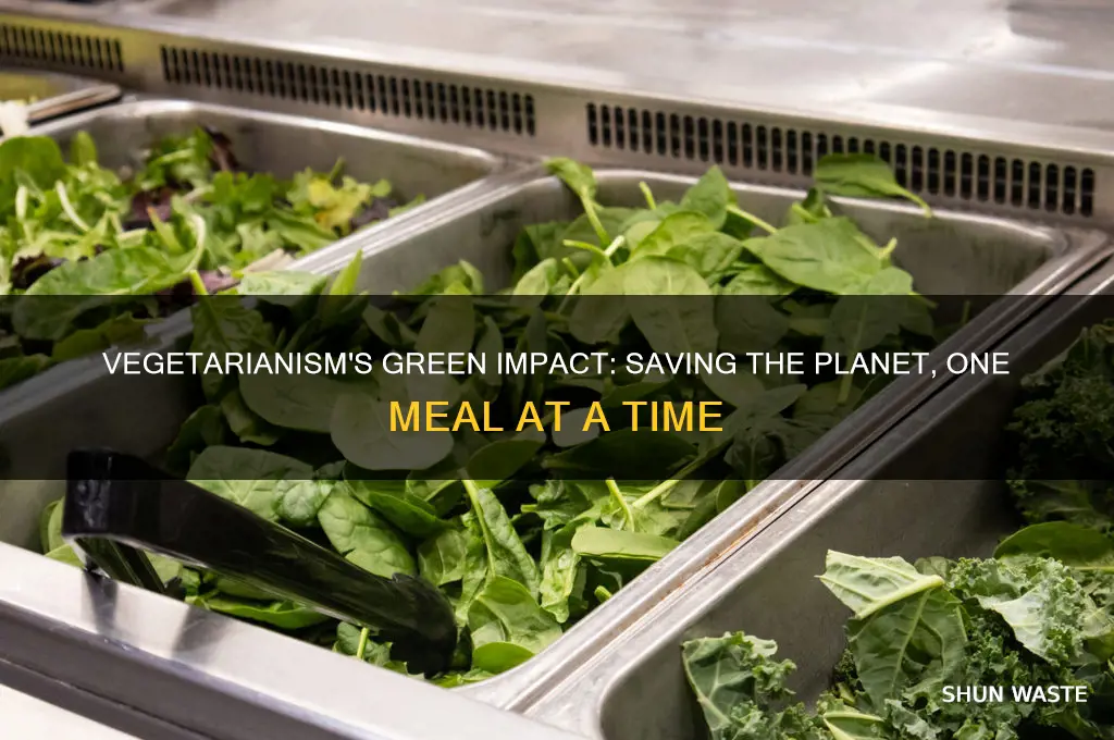 how can vegetarianism help the environment