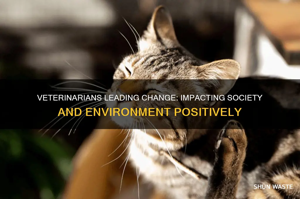 how can vets make positive change in society and environment