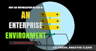Leveraging Virtualization for Enhanced Enterprise Efficiency and Scalability