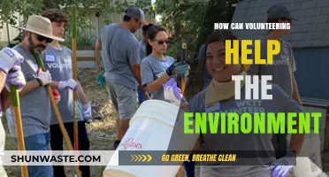 Volunteering for a Greener Future: How You Can Make a Difference