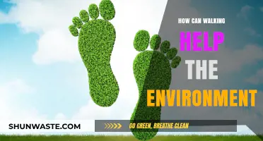 Walking for a Greener Planet: Simple Steps, Big Environmental Impact