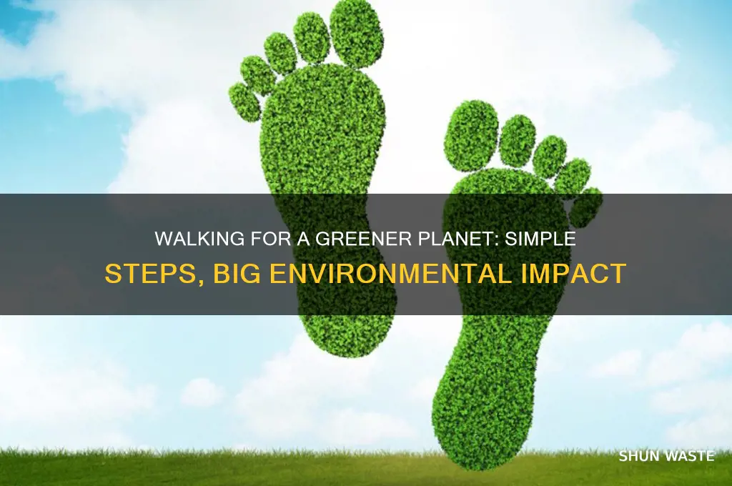 how can walking help the environment