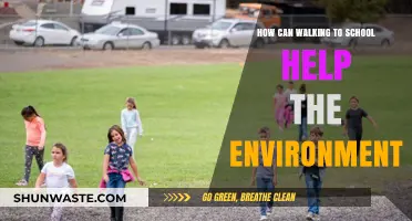 Walking to School: Simple Steps for a Greener, Healthier Planet