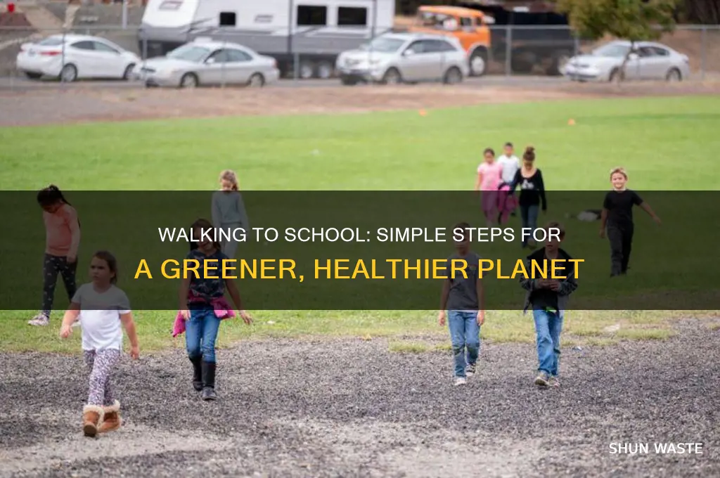 how can walking to school help the environment