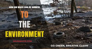 Waste Coal's Environmental Impact: Pollution, Climate Change, and Ecosystem Destruction