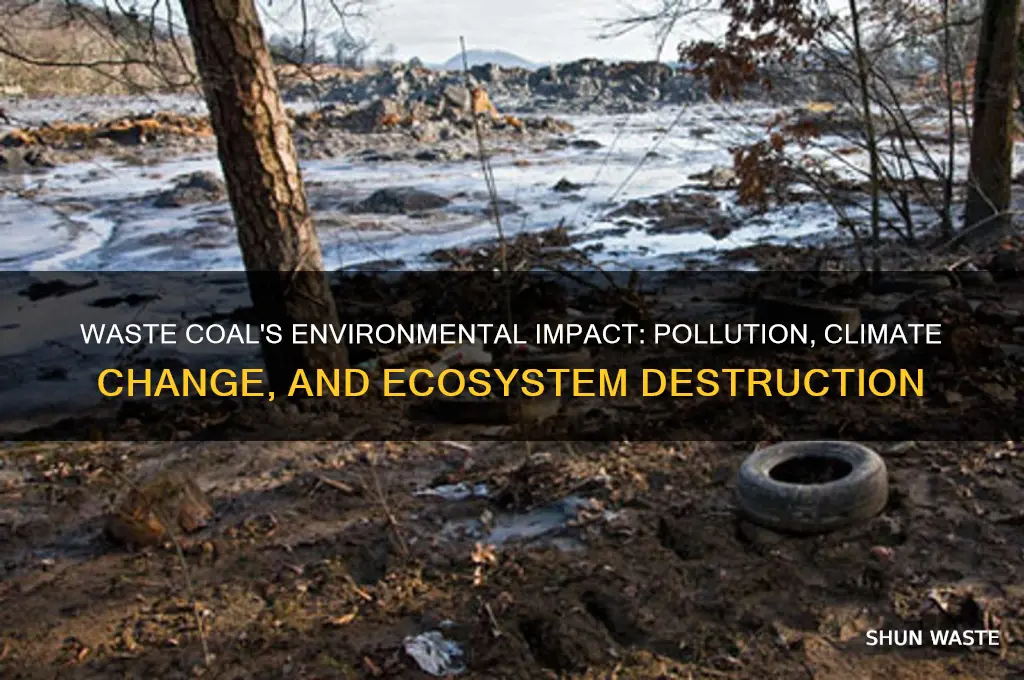 how can waste coal be harmful to the environment