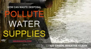 Waste Disposal's Watery Impact: A Pollution Problem