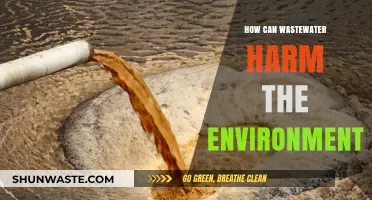 Wastewater's Environmental Impact: Pollution, Ecosystems, and Public Health Risks