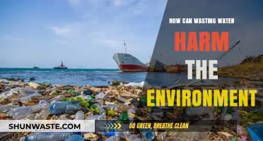 Water Waste's Devastating Impact: How It Threatens Our Fragile Environment