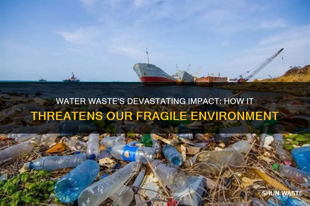 how can wasting water harm the environment
