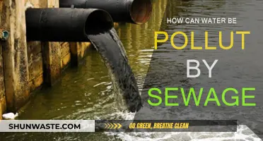 Sewage's Impact: Water Pollution and Contamination