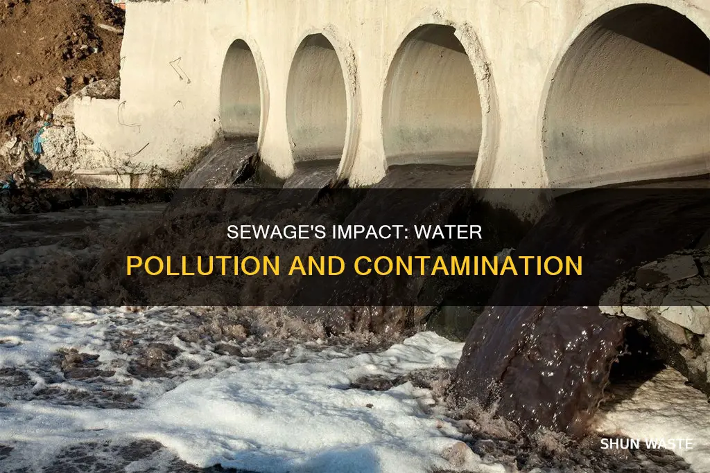 how can water be polluted by sewage