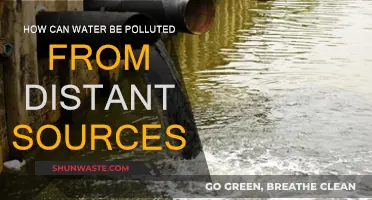 Water Pollution: Distant Sources, Big Impact