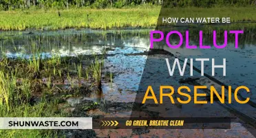 Arsenic in Water: A Toxic Threat