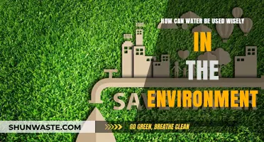 Sustainable Water Use: Smart Strategies for Environmental Conservation