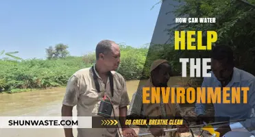 Water's Role in Revitalizing Ecosystems and Sustaining Our Planet