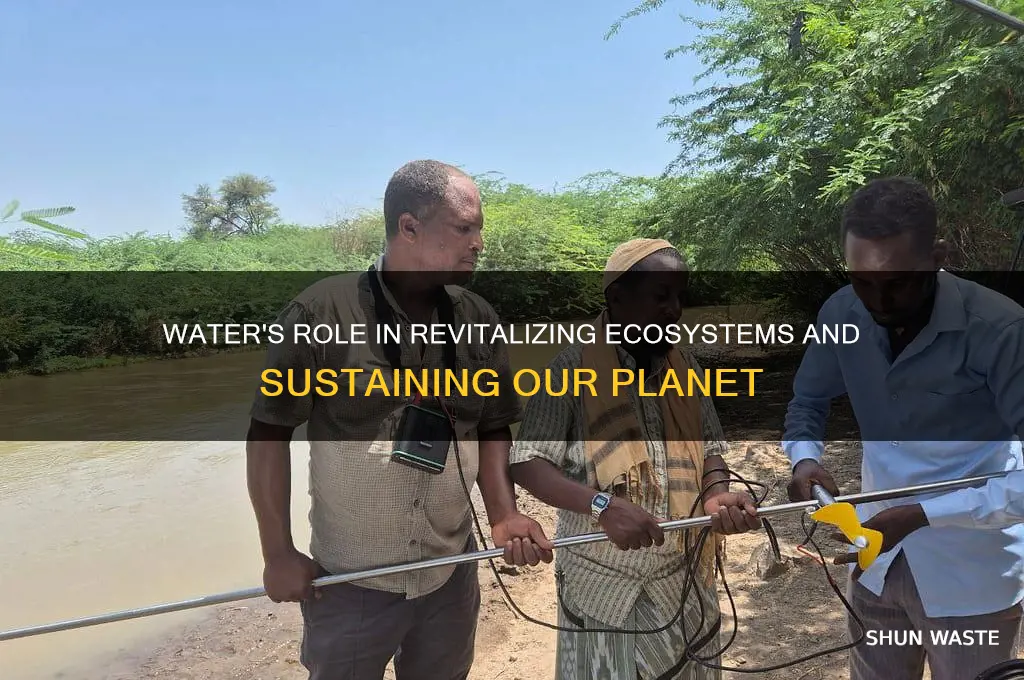 how can water help the environment