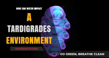 Water's Role in Shaping Tardigrade Habitats and Survival Strategies