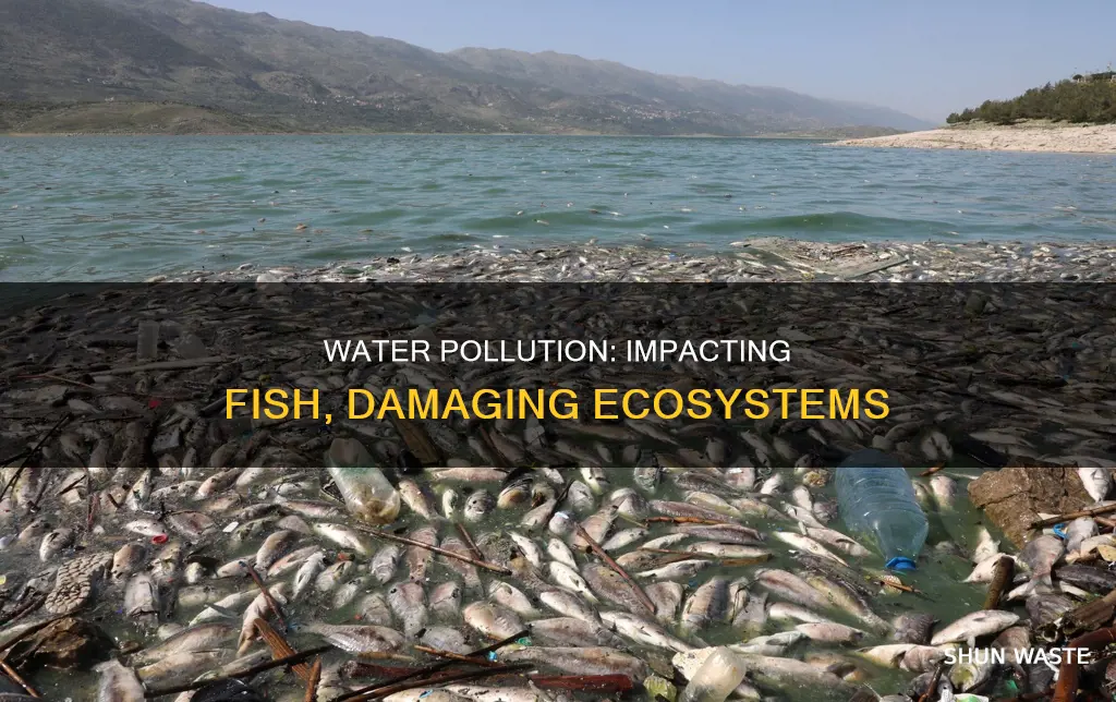 how can water pollution affect fish