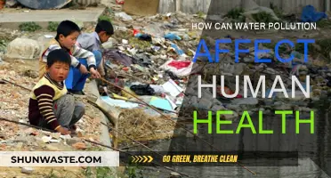 Water Pollution: A Human Health Crisis