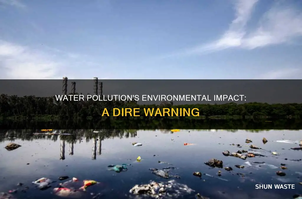 how can water pollution affect the environment