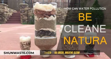 Natural Water Purification: Cleaning Pollution without Human Intervention