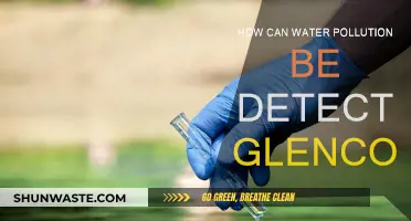 Detecting Water Pollution: Glencoe's Aquatic Health Insights