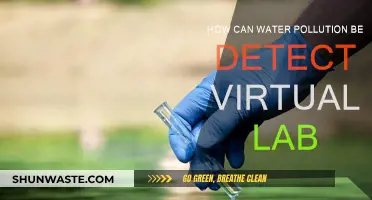 Water Pollution: Virtual Lab Detection Methods and Applications