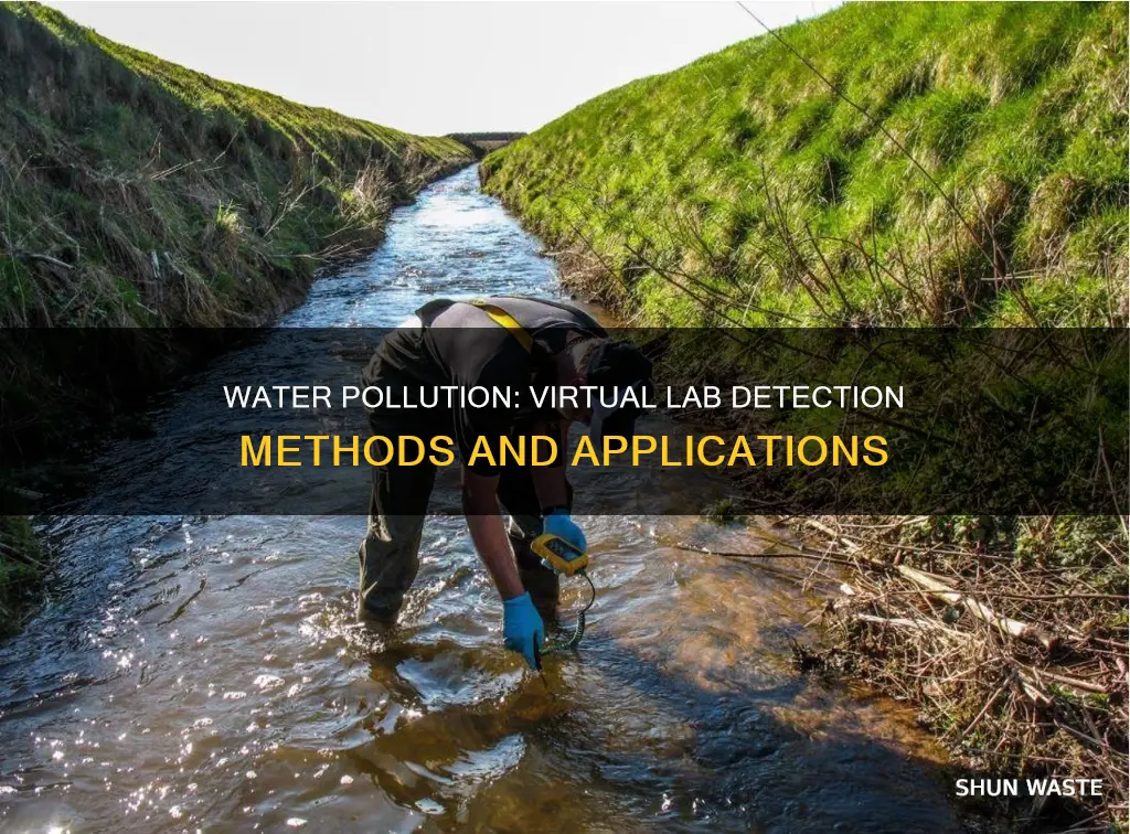 how can water pollution be detected virtual lab