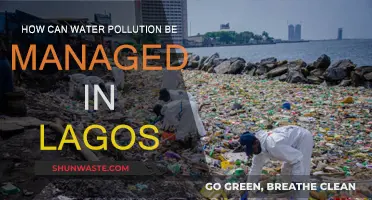 Managing Water Pollution in Lagos: Strategies and Solutions