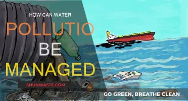 Water Pollution: Strategies for Effective Management