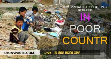 Water Pollution: Reducing the Impact in Poor Countries