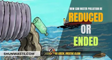 Water Pollution: Reducing Our Impact, Saving Our Oceans