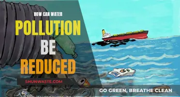 Water Pollution: Reducing the Impact and Saving Our Oceans