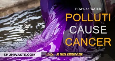 Water Pollution's Cancerous Impact: Understanding the Toxic Link