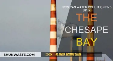 Water Pollution's Path to the Chesapeake Bay