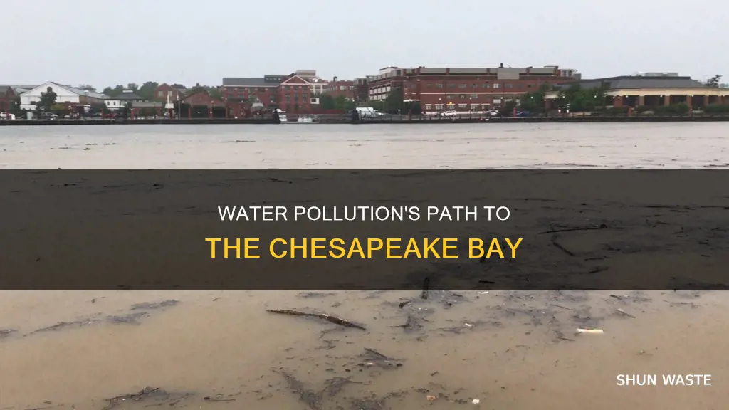 how can water pollution end up in the chesapeake bay