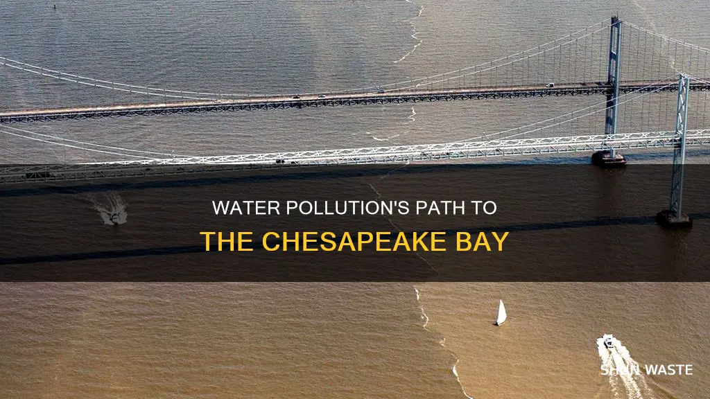 how can water pollution end up in the chesapeake bay