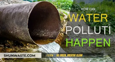 Water Pollution: Causes and Human Impact