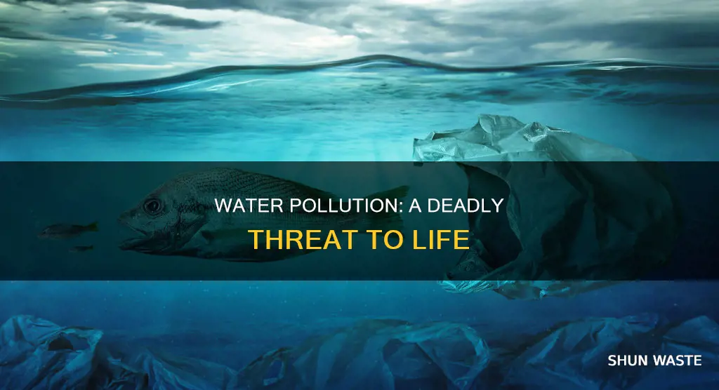 how can water pollution harm living things